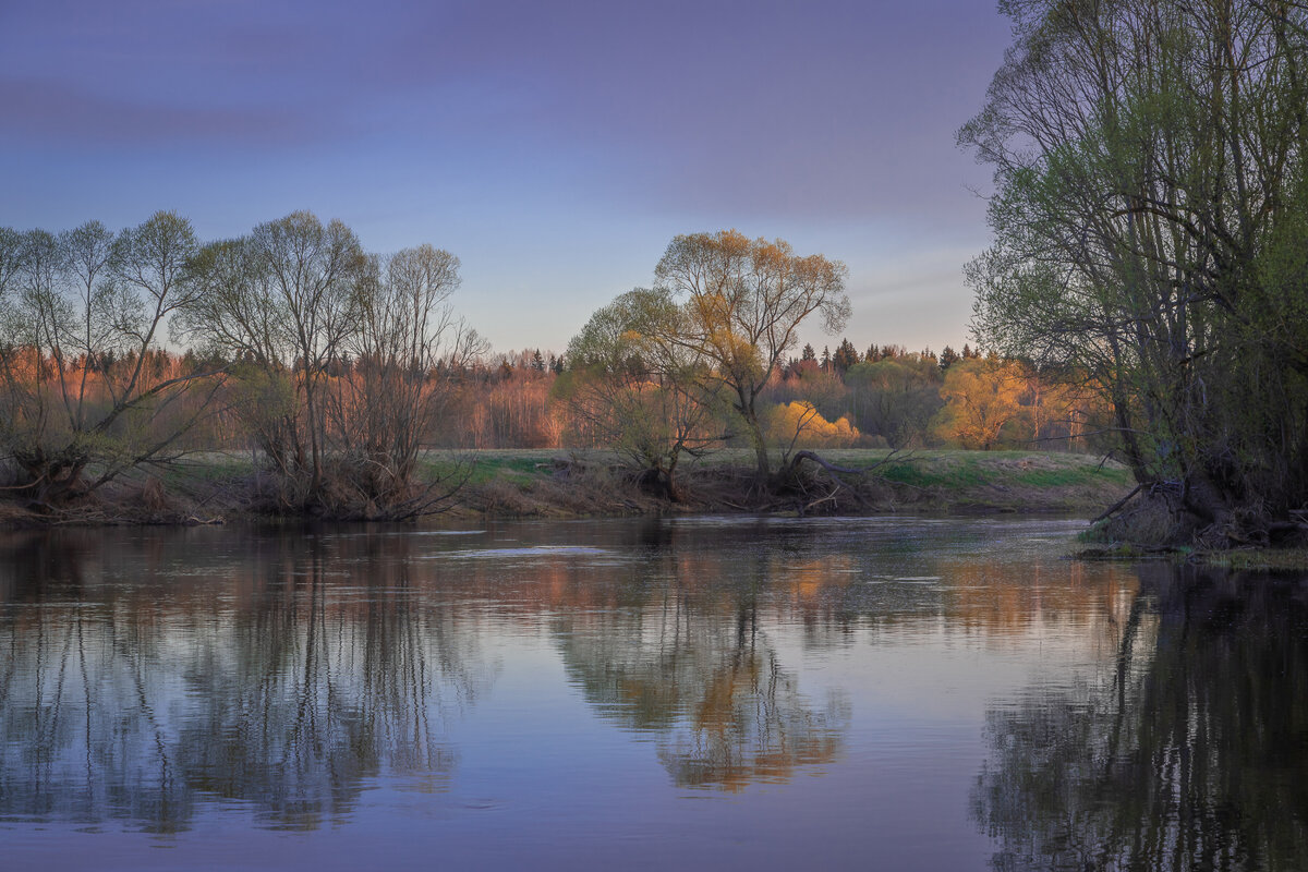 **** - Елизавета .