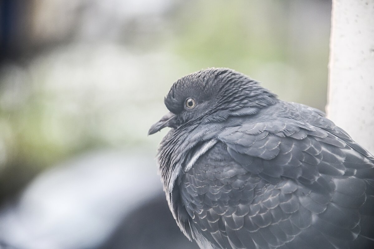 Холодно - Валерий Иванович