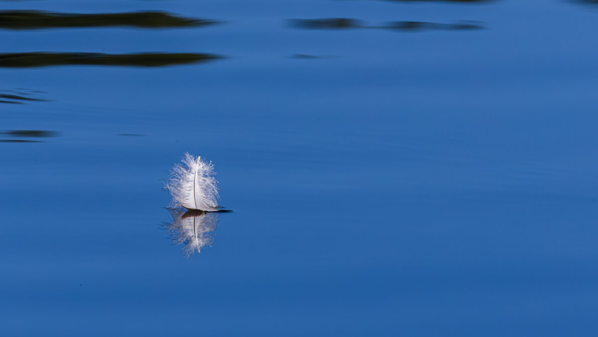 В ожидании ветра - Николай Бабухин