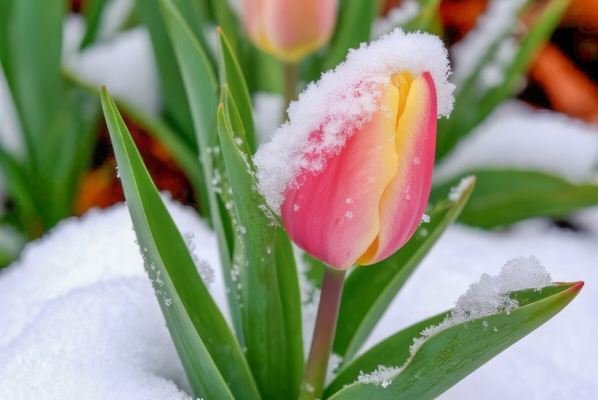 Причуды природы ... - Ravile 