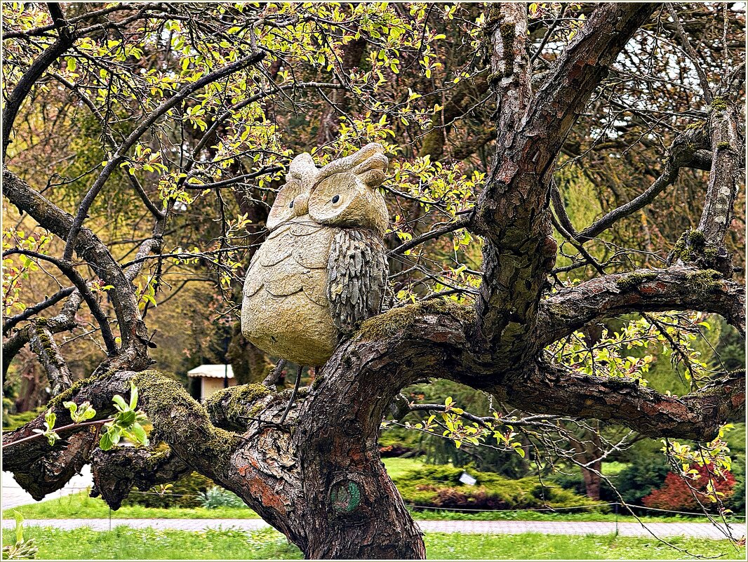 В Ботаническом саду. - Валерия Комова