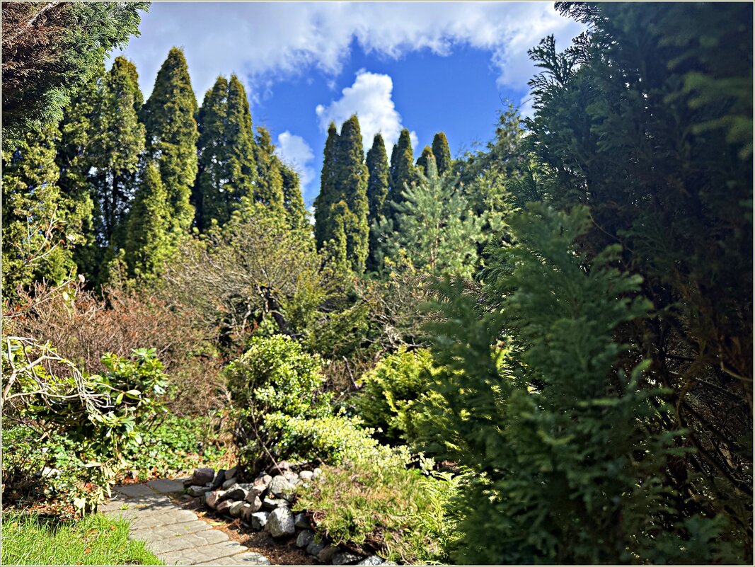 В Ботаническом саду БФУ им. И.Канта. - Валерия Комова