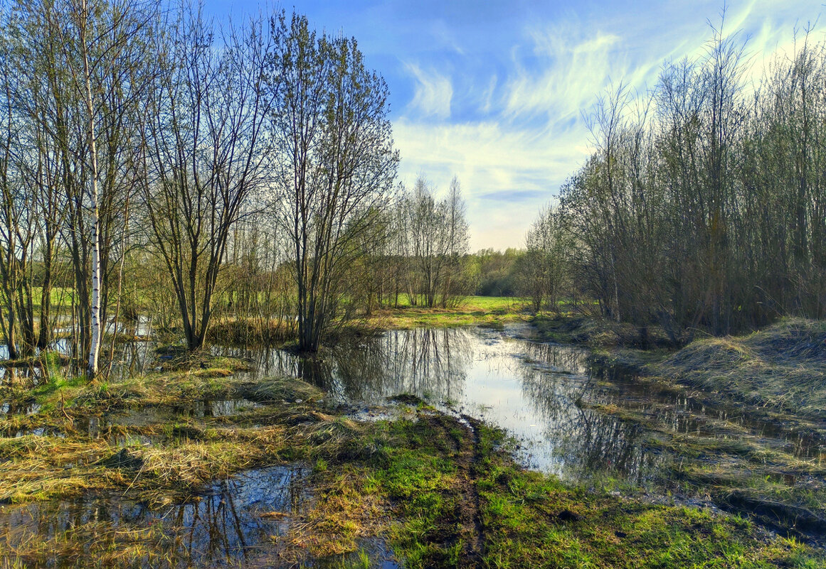 Весна - Вячеслав Минаев
