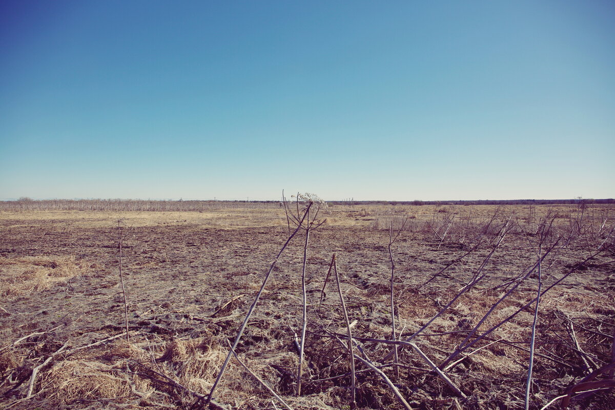 прочее - Денис Безногов
