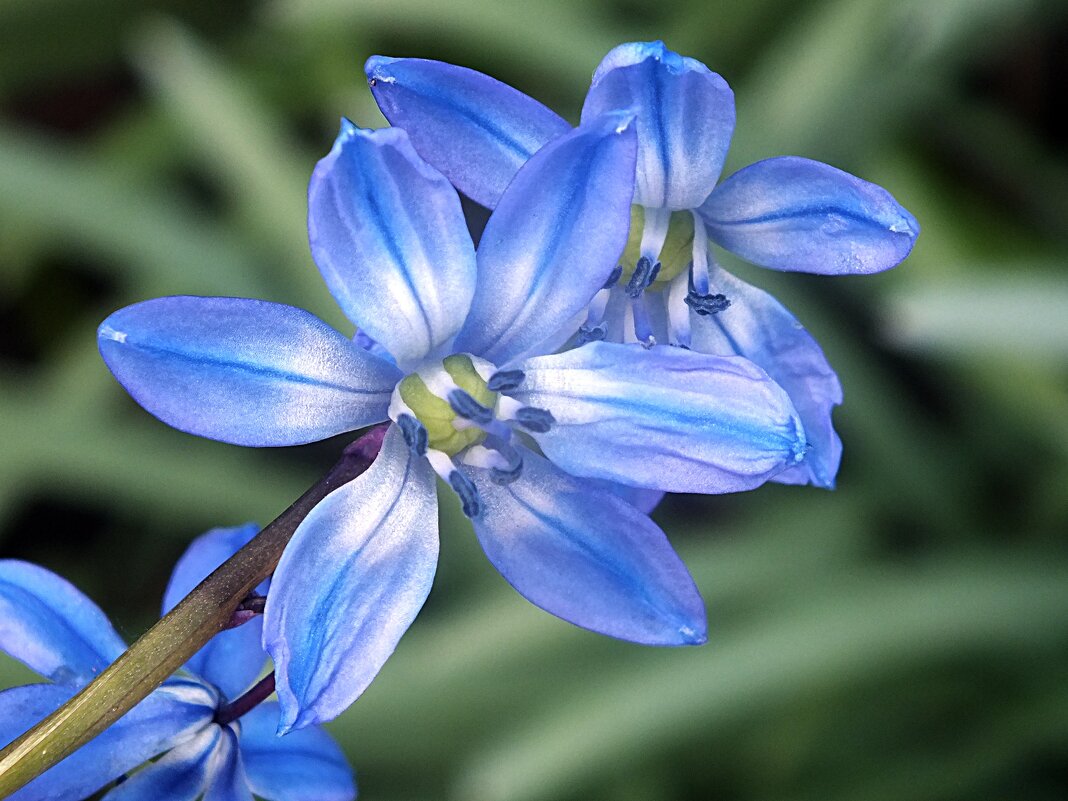 ** - Зоя Мишина