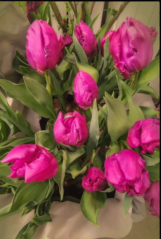 Очарование весны! - Лилия *