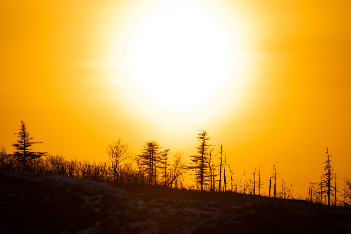 Закатный жар - Денис Трофимов