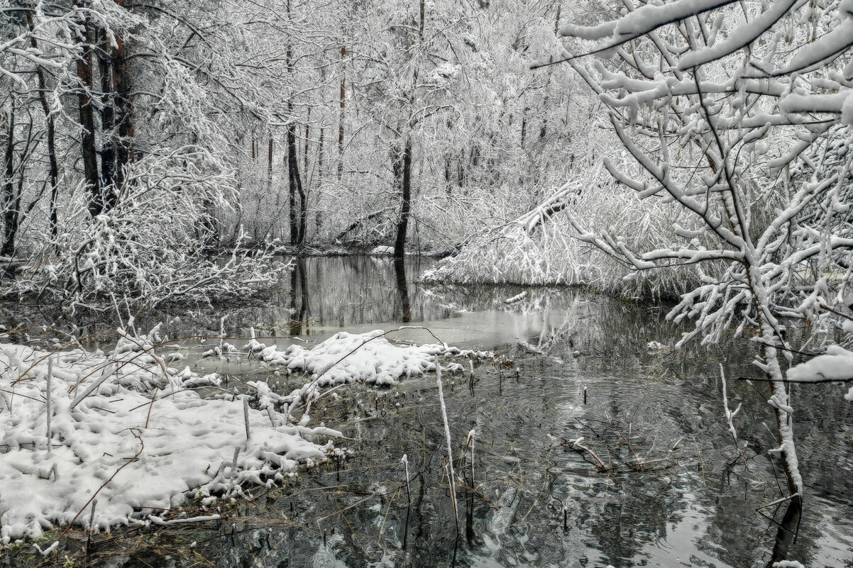 В лесу потоки - sorovey Sol
