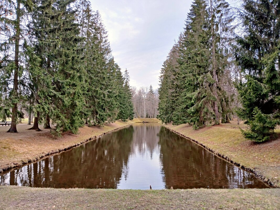 2-я вертикальная часть П-образного пруда. - Лия ☼