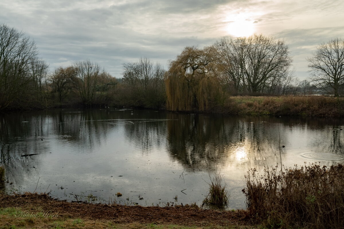 Облачным днём... - Николай Гирш