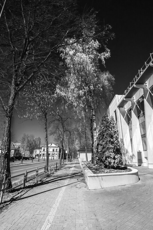 *** - Николай 