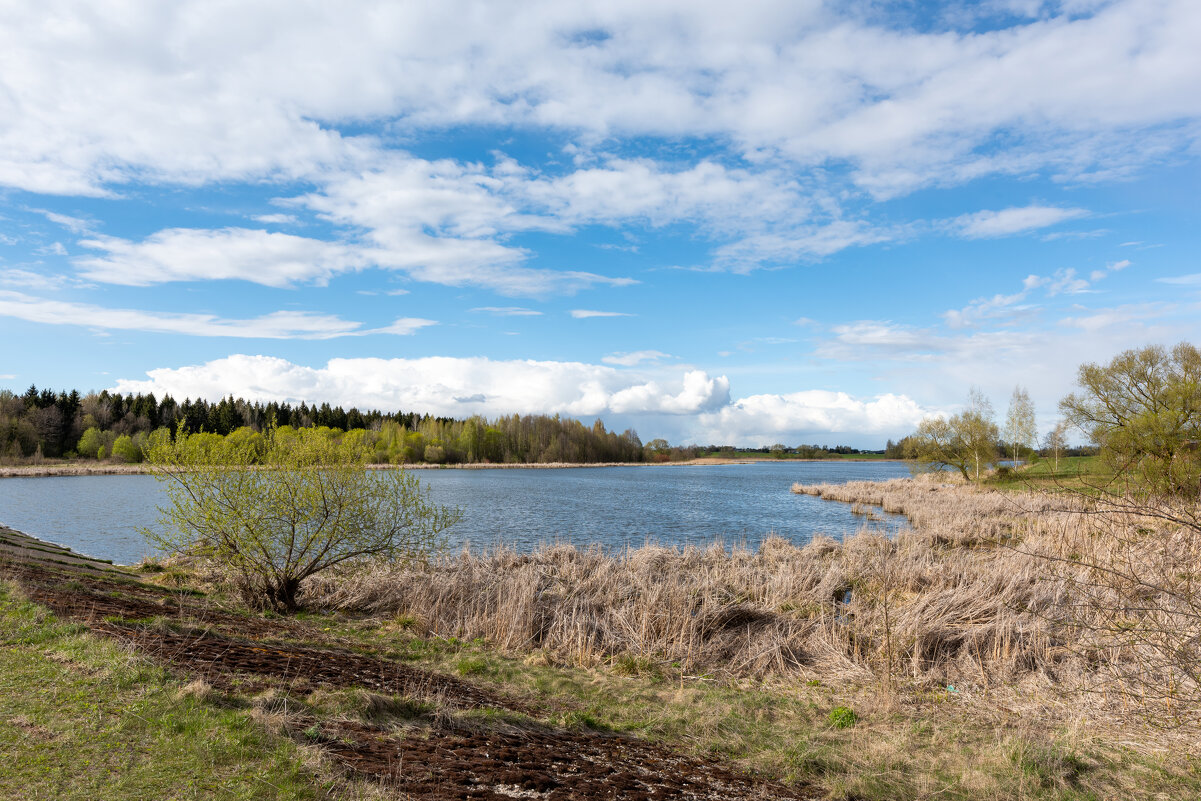 Весення зарисовка - Александр Мезенцев