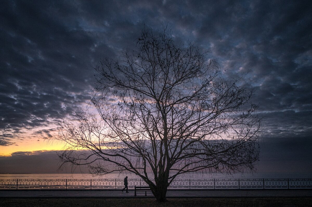 Два одиночества - Ирина 
