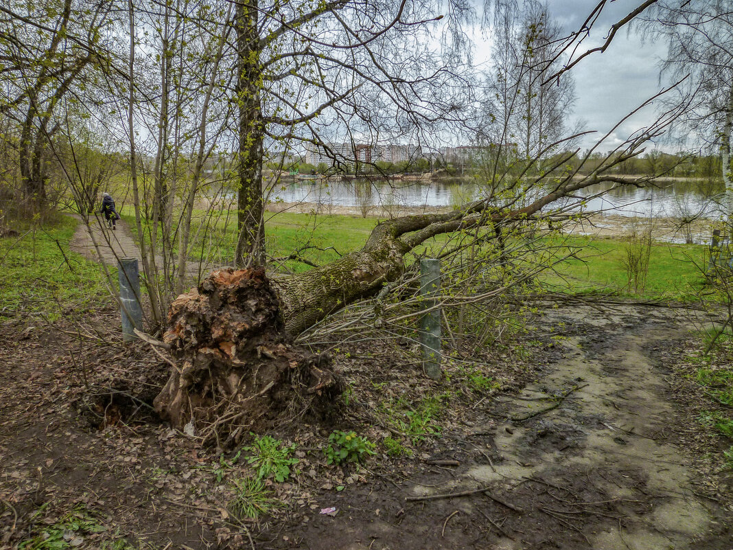 Стихия... - Михаил "Skipper"