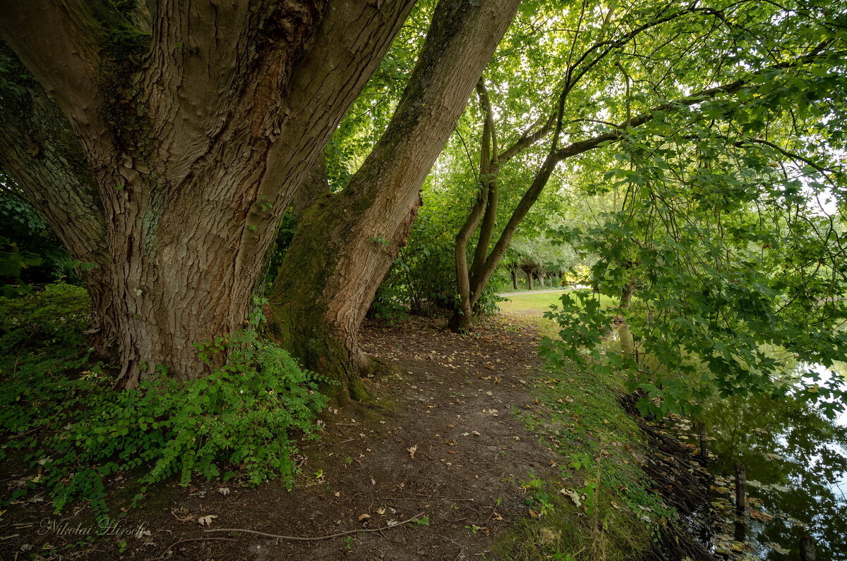 Вокруг великана... - Николай Гирш