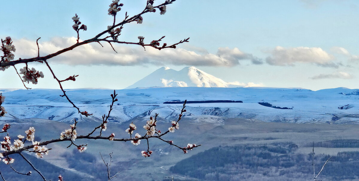 Эльбрус - Михаил Свиденцов