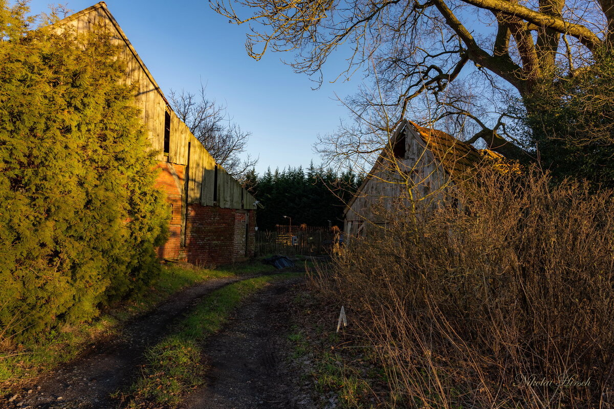 Тупик... - Николай Гирш