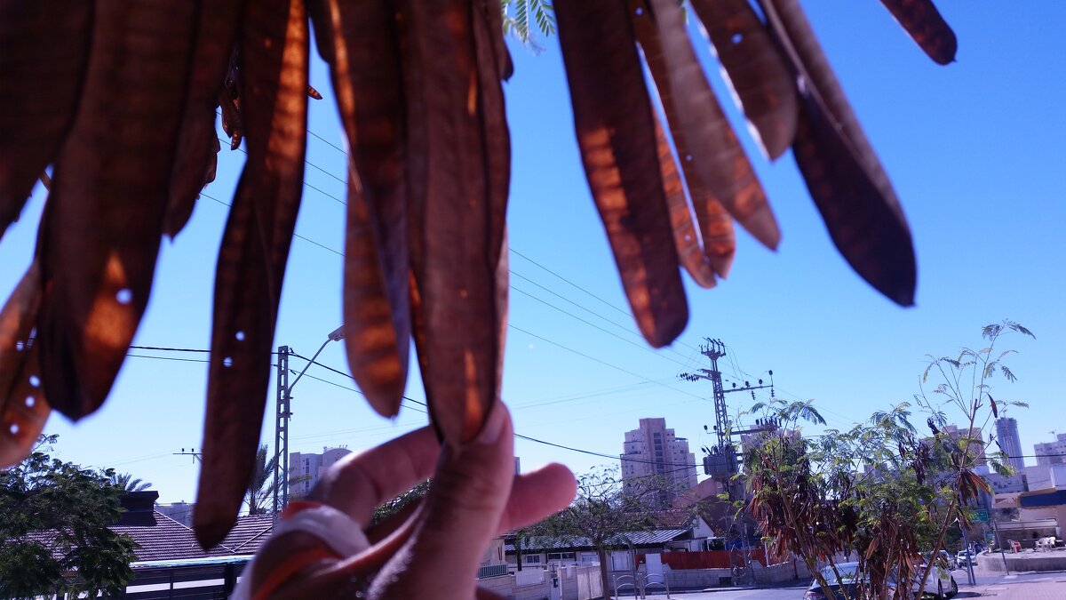 116 (44) - СТРЕН 