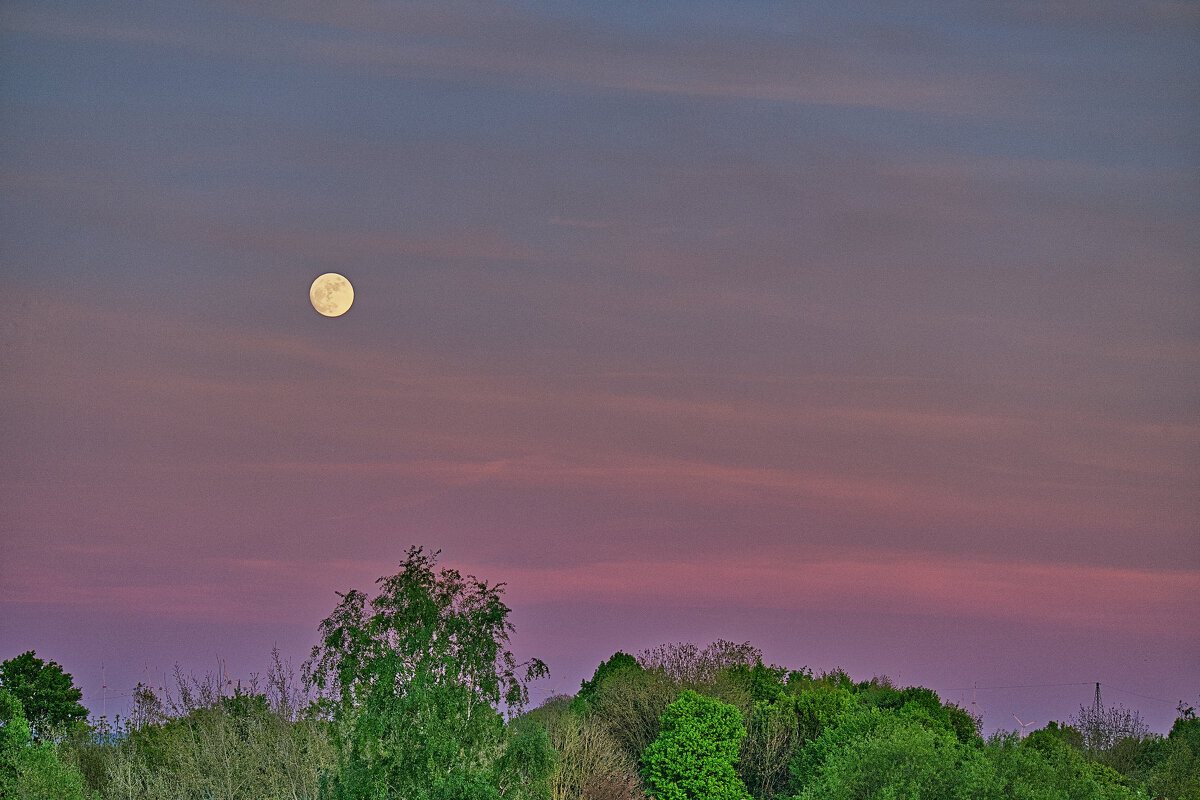 (°-°) - Jakob Dick