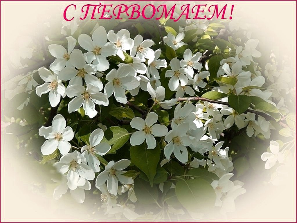 С ПЕРВОМАЕМ, ДРУЗЬЯ! - Наталья ***