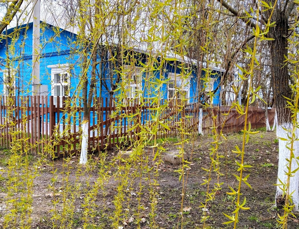 Домик архитектора среди природы - Елена Сухорученкова