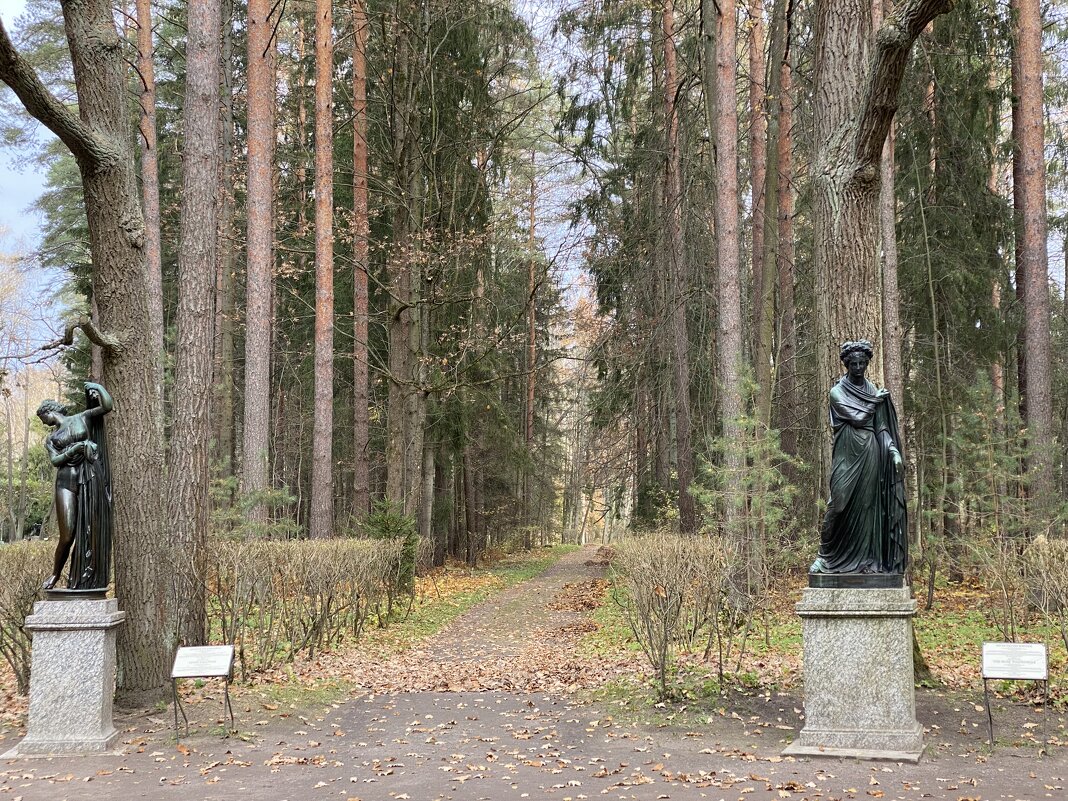 В Павловском парке. - Татьяна 