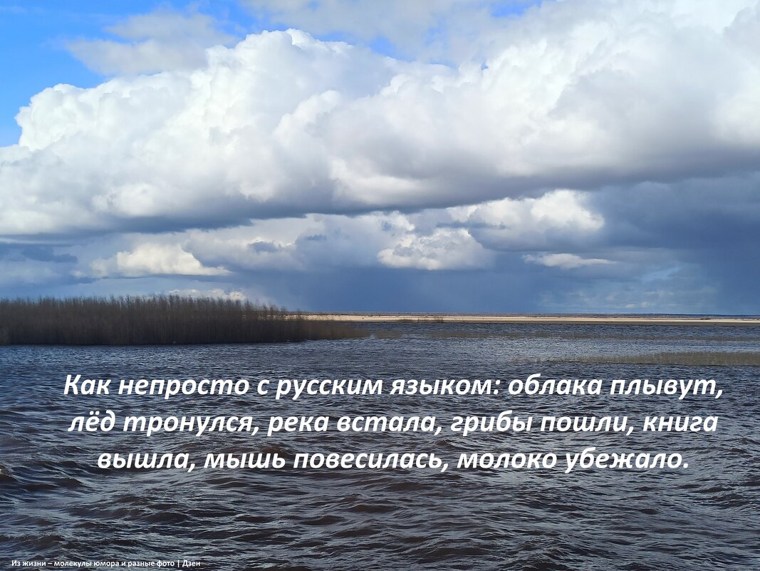 Из облачного - svk *