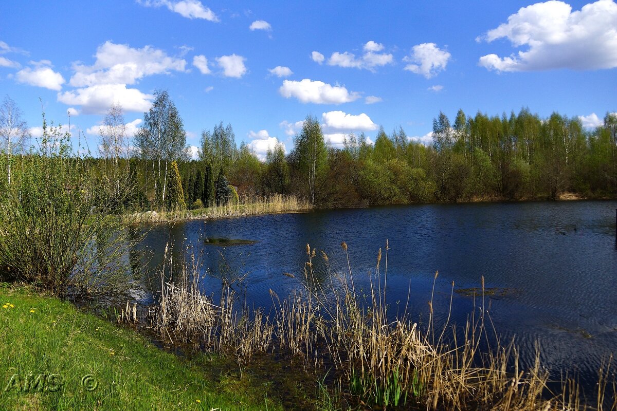 5 мая - kolyeretka 5 мая - kolyeretka