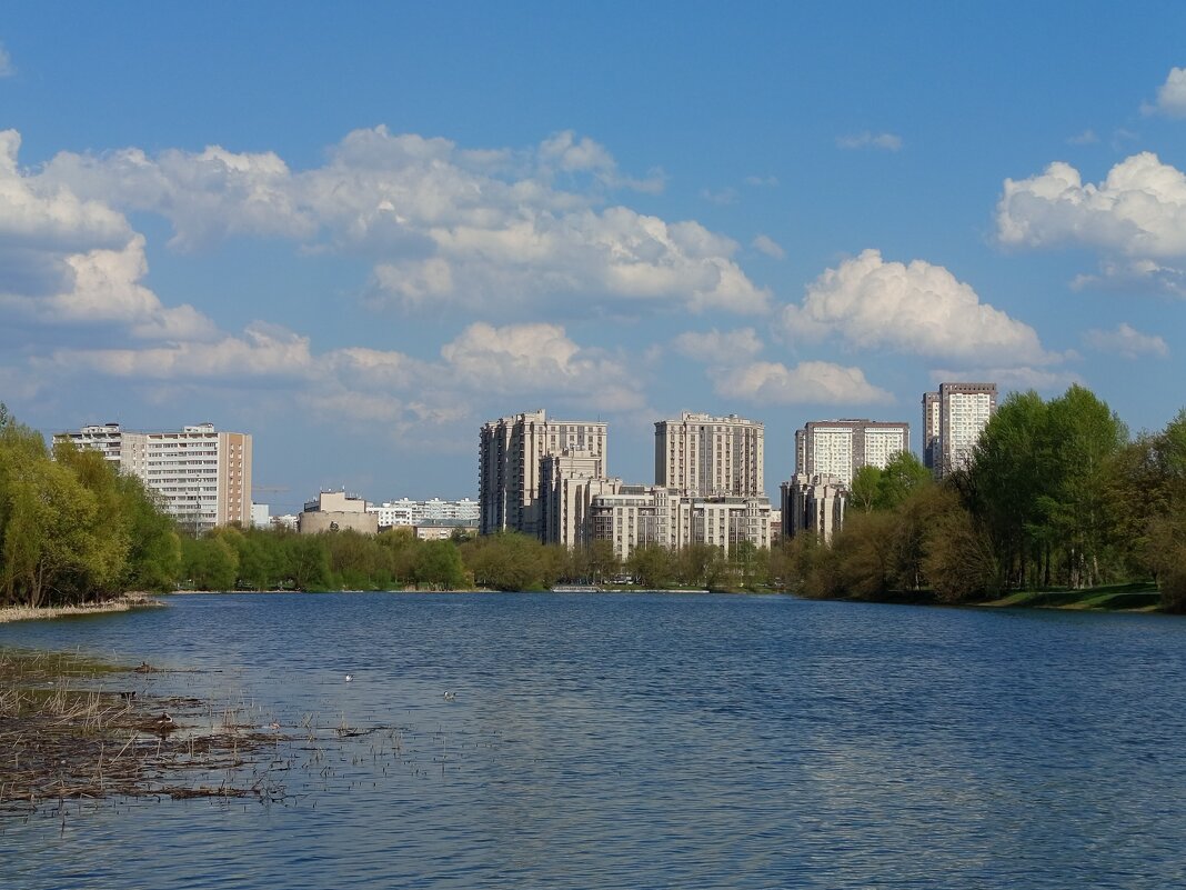 Моя Москва - Андрей Лукьянов