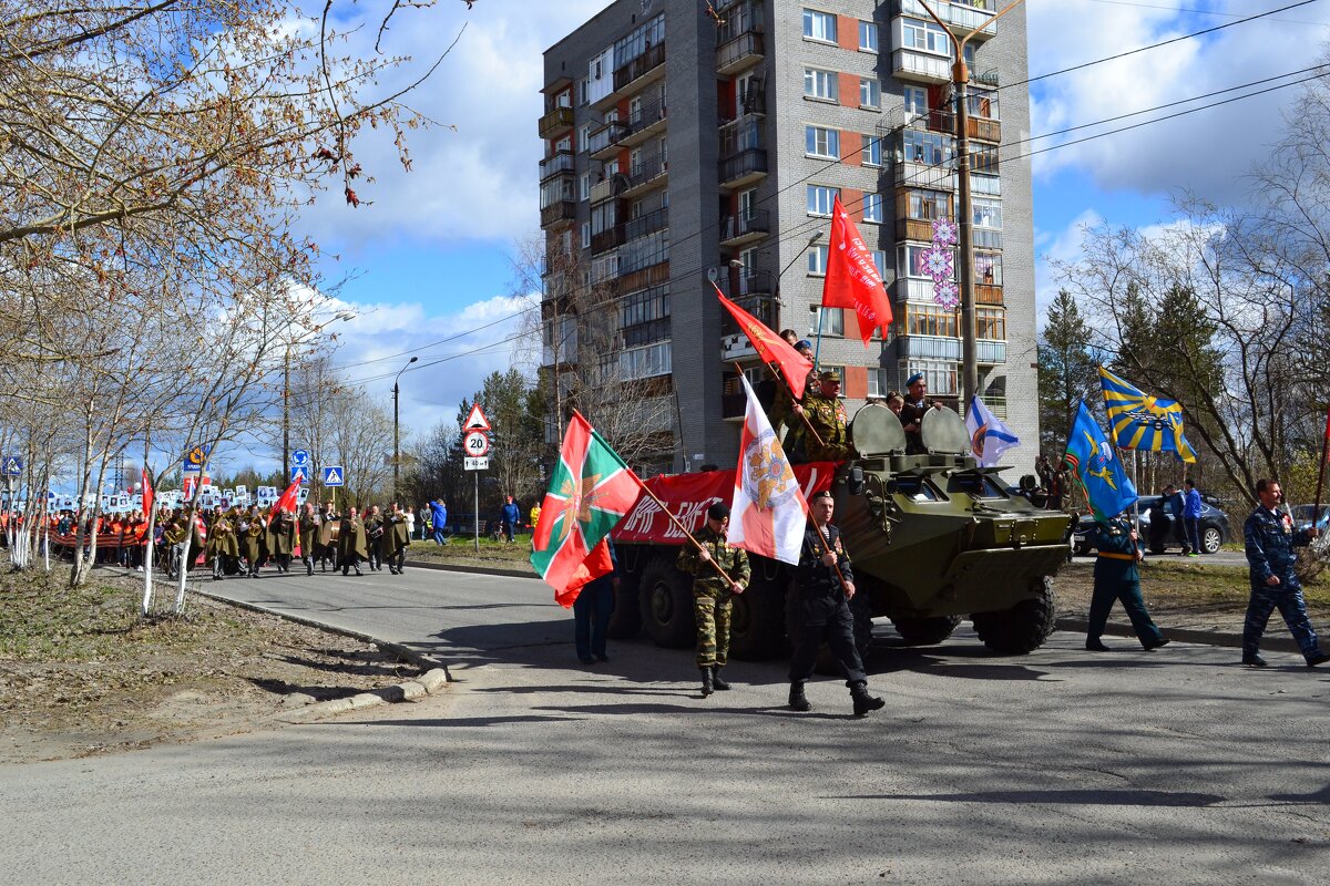 Бессмертный полк - Ольга Бессмертный полк - Ольга