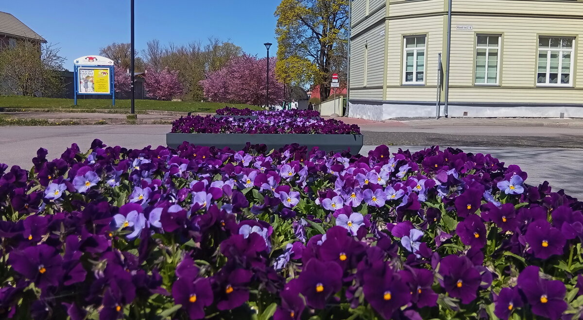 Весна в городе.. - Татьян@ Ивановна