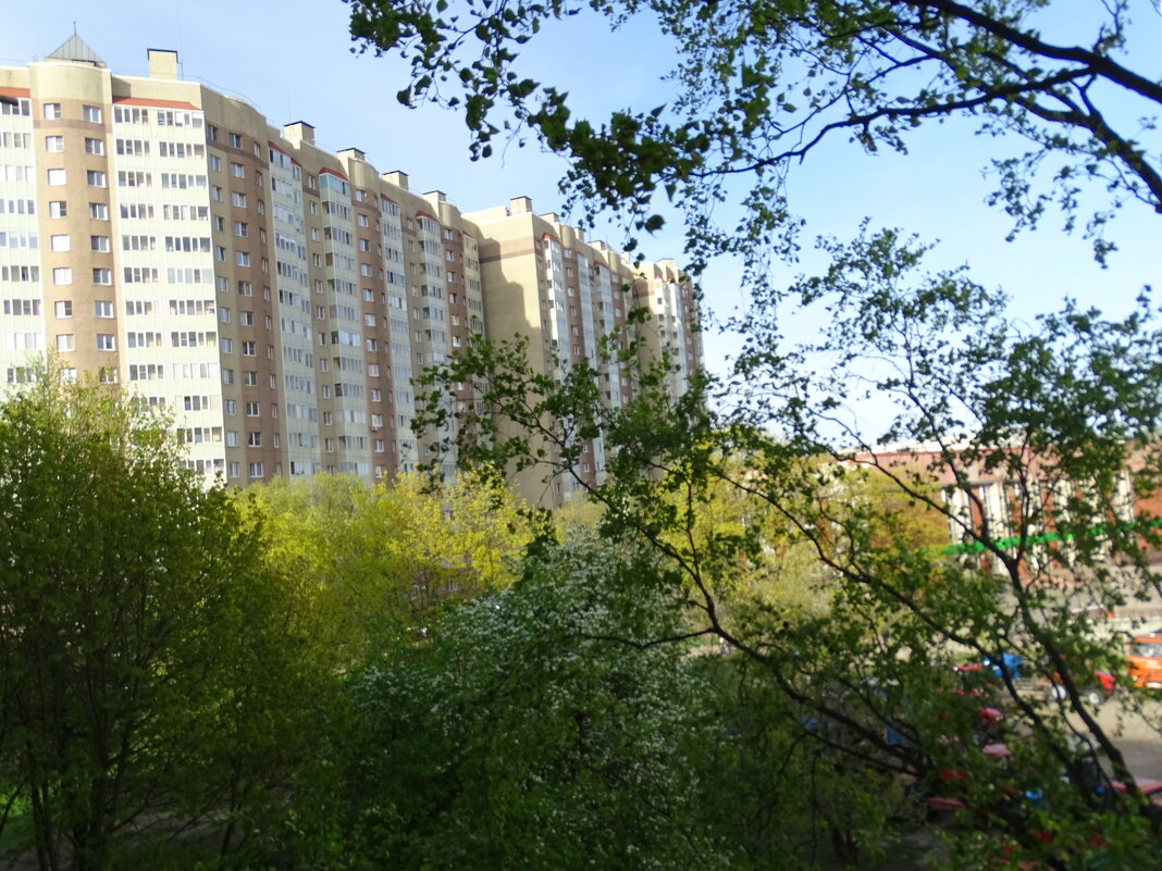 За окном - Anna-Sabina Anna-Sabina