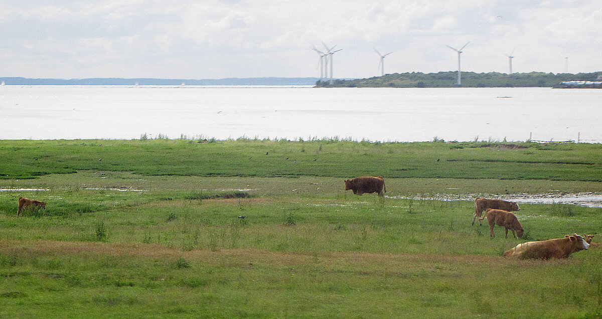 На берегу пролива Эресунн (Øresund) вблизи города Хеярп (Häljarp) - Александр Ильчевский На берегу пролива Эресунн (Øresund) вблизи города Хеярп (Häljarp) - Александр Ильчевский