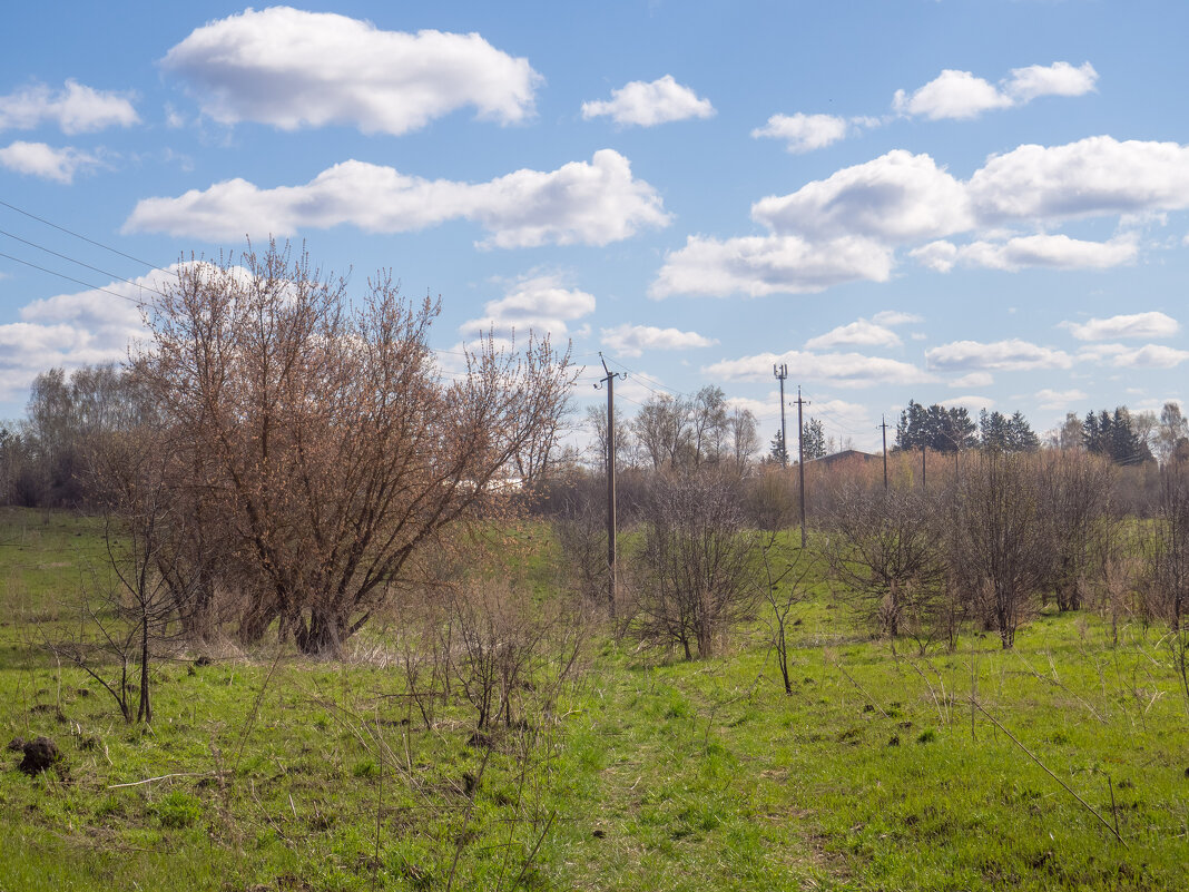 ___ - Yuriy V