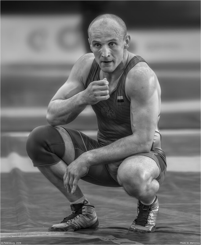 Вольник. - Александр Максимов