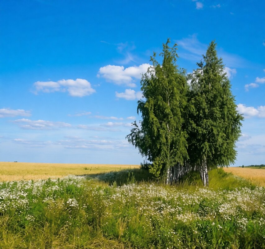 Русские просторы - Анатолий Жарский