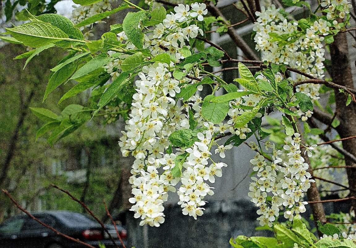 Городские зарисовки - Галина Нестратова