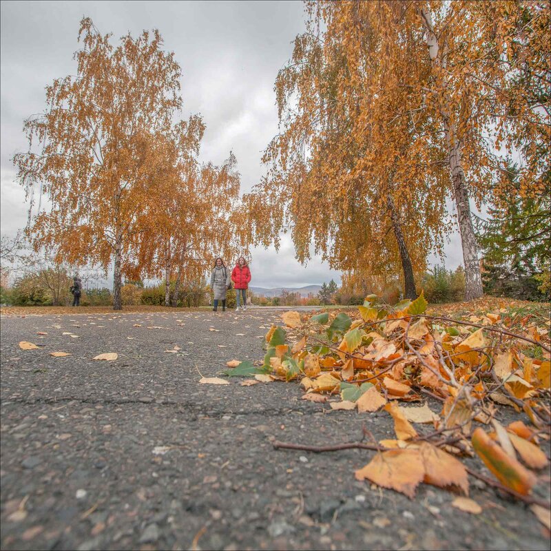 *** - Александр Кустов