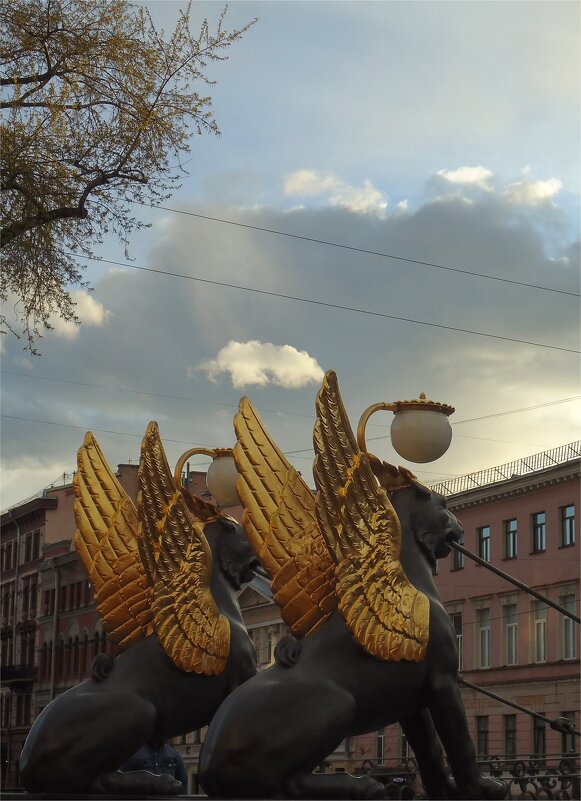 закатная пора - sv.kaschuk 