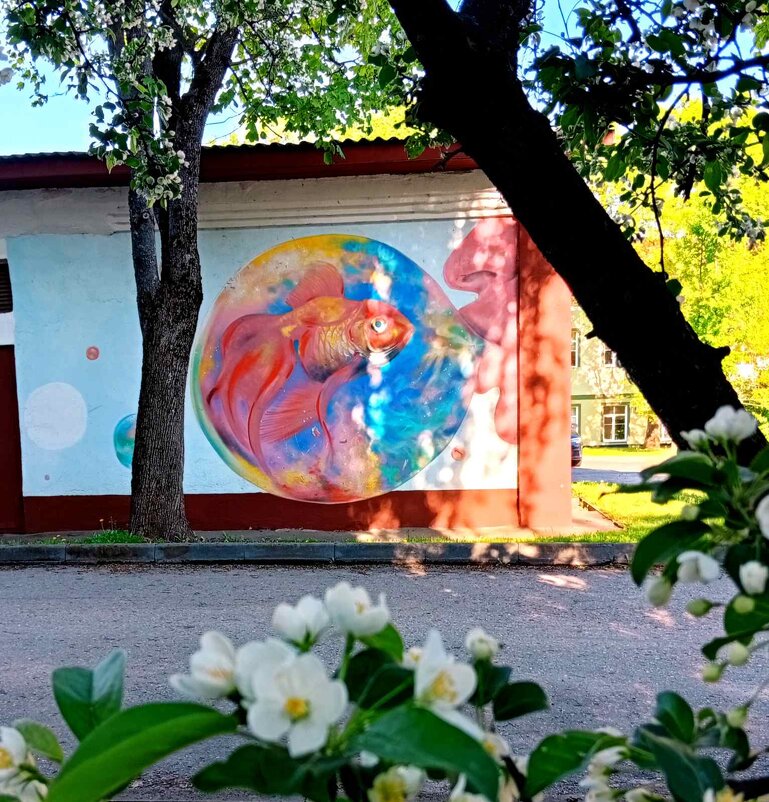 Граффити - Галина Бобкина