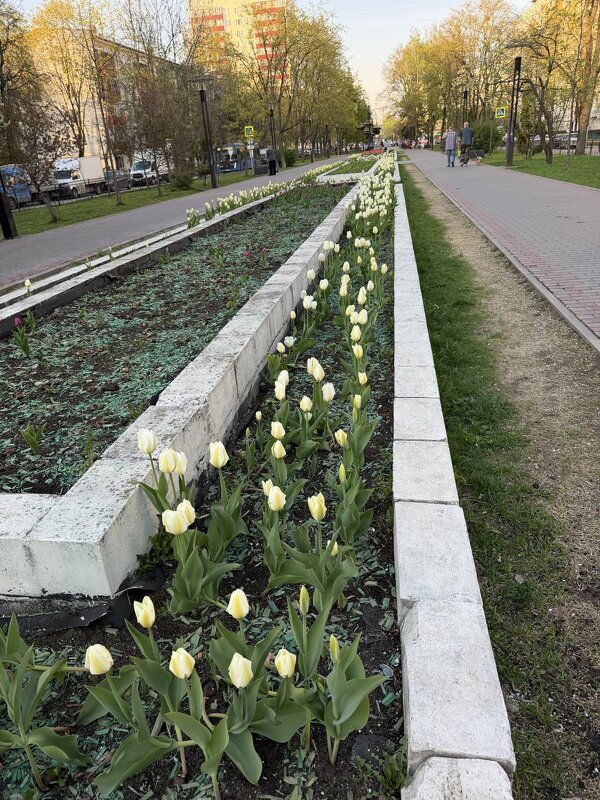 В Новой Москае - Ирэн 