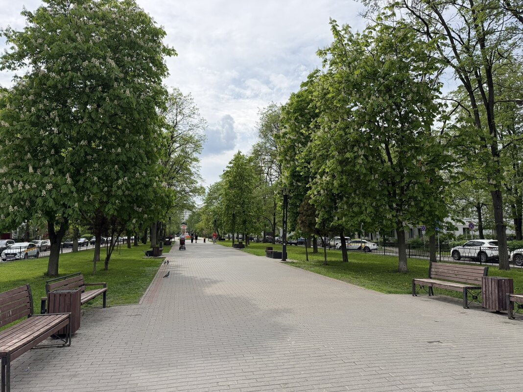 Дорога к дому - Ирэн 