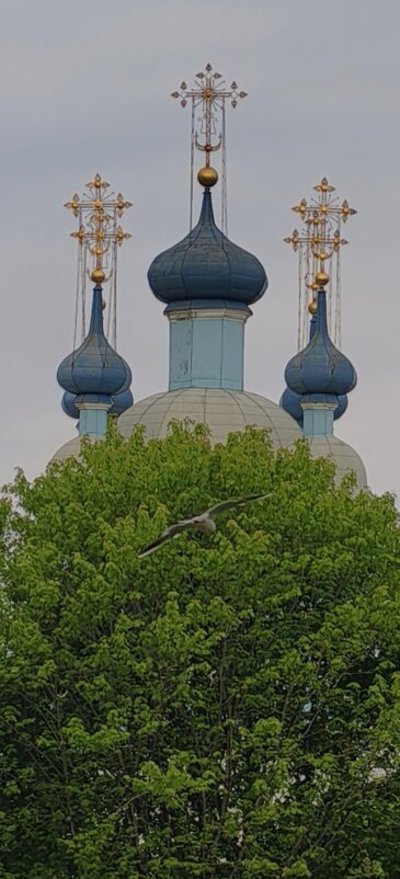 ... - Андрей 