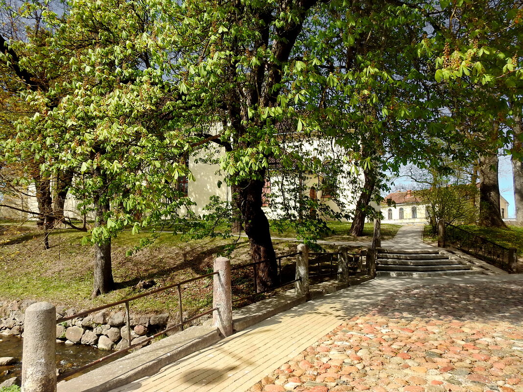 весенние зарисовки - ИННА ПОРОХОВА весенние зарисовки - ИННА ПОРОХОВА