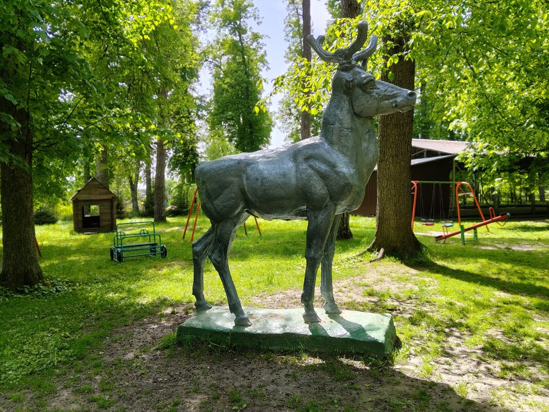 Однажды в парке - Елена Сухорученкова