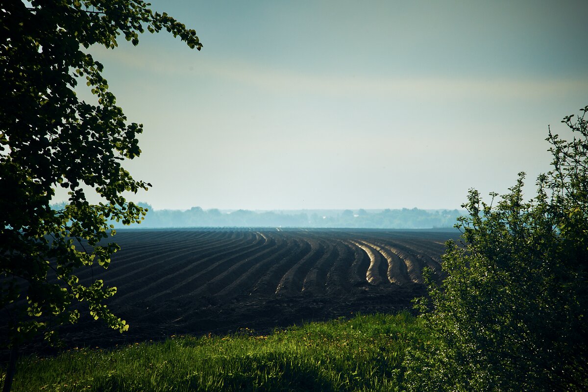 Поля Коломны - Ivan Sheremetev