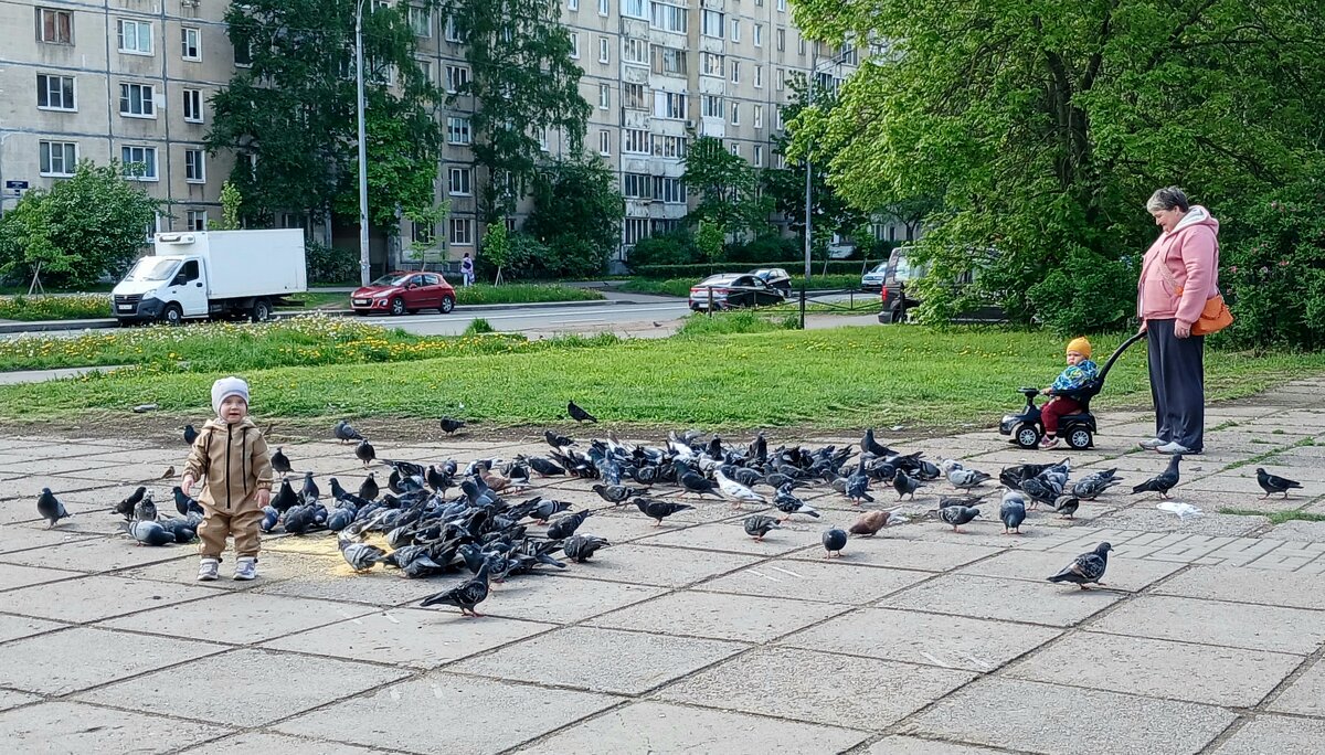 *** - Наталья Герасимова