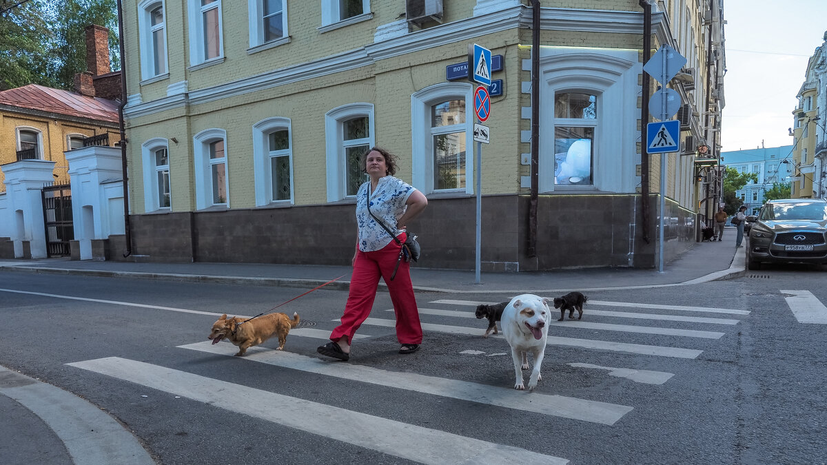 Городская Зарисовка - юрий поляков