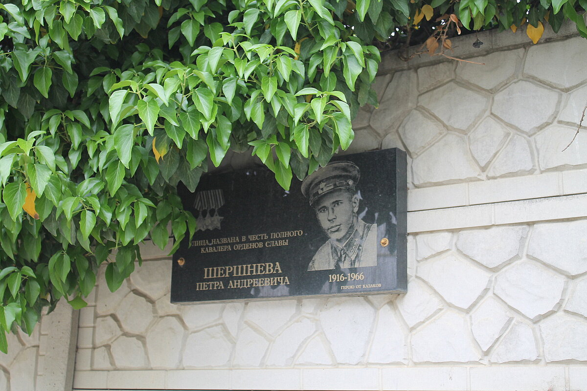 *** - Ирина 
