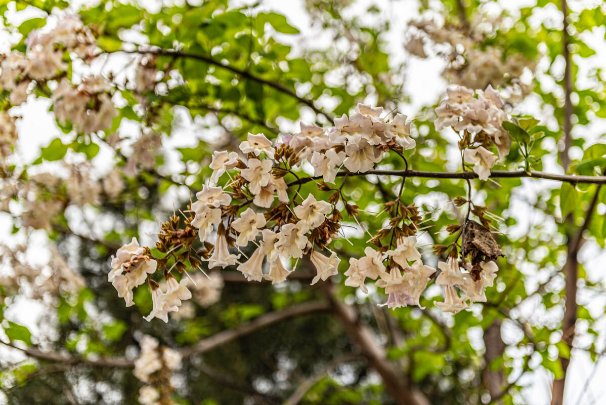 *** - Дмитрий Лупандин